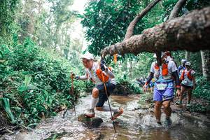 BIB: 
                            <button type="button" onclick="openModal(25374330)" class="btn btn-primary btn-sm float-right btn-popup" data-toggle="modal" data-target=".modal-high-quality">
                        <i class="fas fa-shopping-cart"></i> Add to Cart
                    </button>
                                            <button type="button" onclick="isThisMe(25374330, true)" class="btn btn-success btn-sm float-right btn-popup btn-isme hidden" data-toggle="tooltip" data-placement="bottom" title="นี่คือรูปของคุณใช่ไหม คลิกที่นี่เพื่อเอาเข้าอัลบั้ม">
                        <i class="fas fa-plus"></i> Add to album
                    </button>
                    <button type="button" onclick="isThisMe(25374330, false)" class="btn btn-warning btn-sm float-right btn-popup btn-isnotme hidden">
                        <i class="fas fa-ban"></i> Remove from album
                    </button>